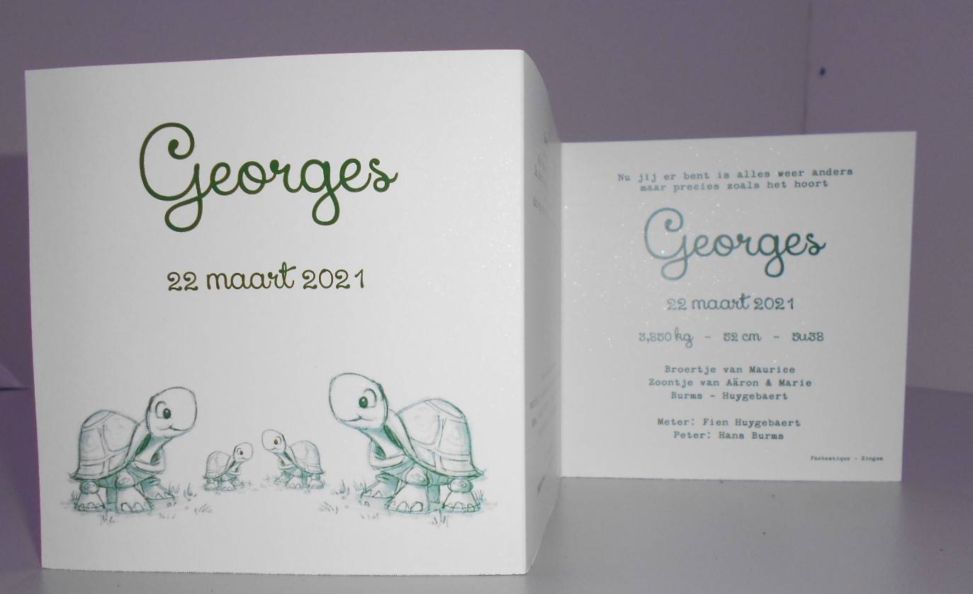 REALISATIE DRUKWERK GEORGES