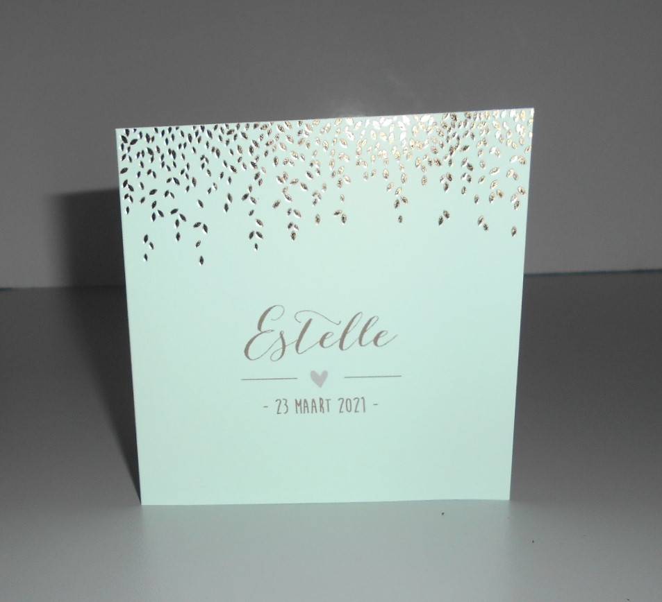 REALISATIE DRUKWERK ESTELLE
