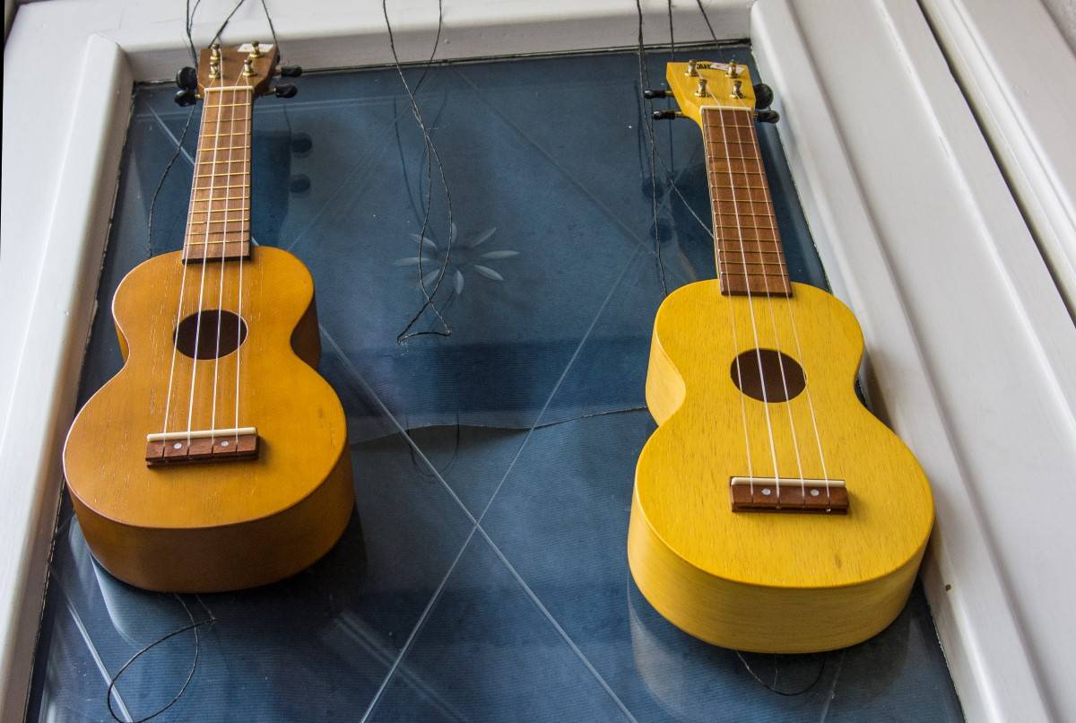 ukuleles