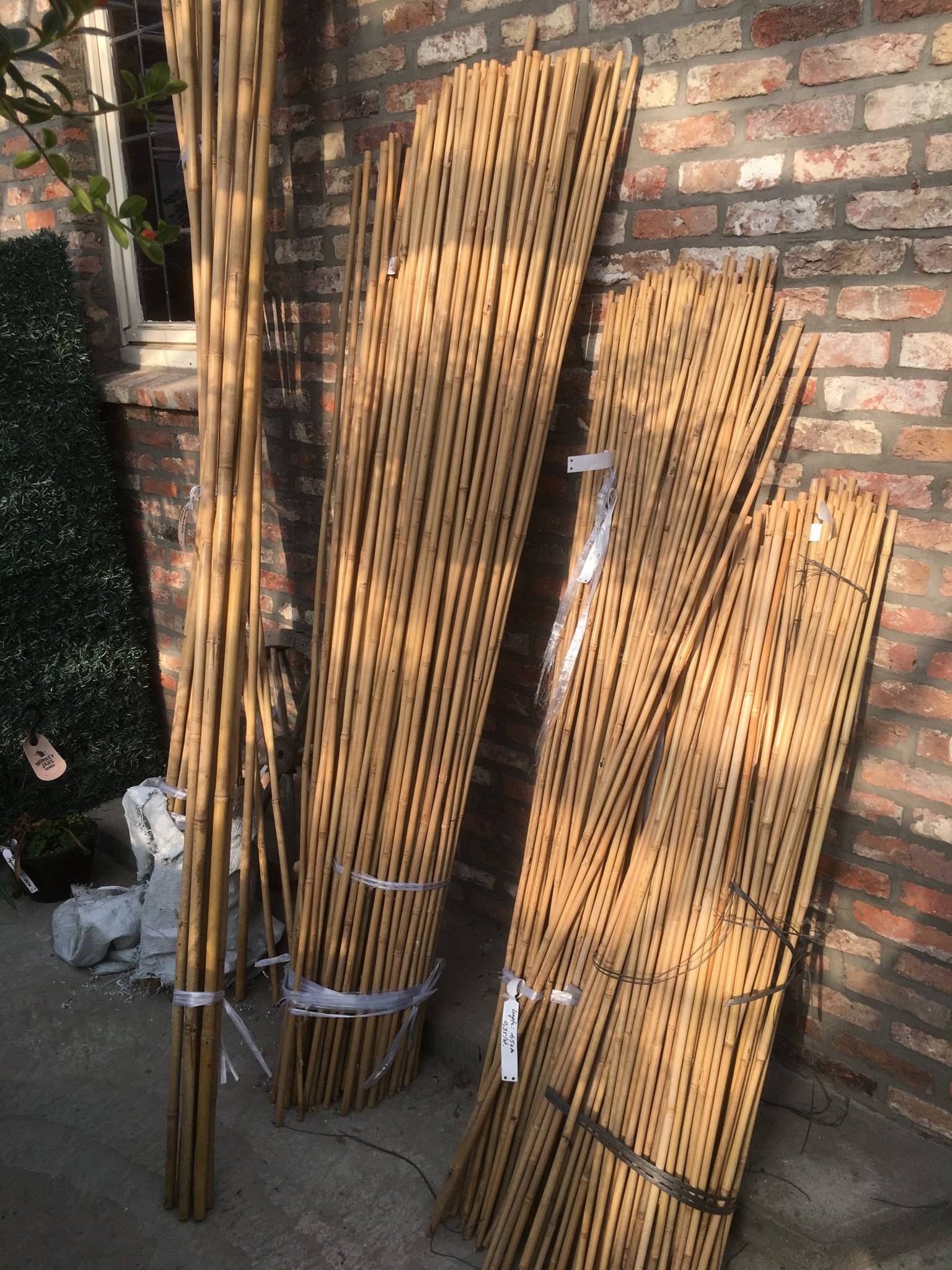 Bamboe steunstokken: L 0,60m tot 4,20m