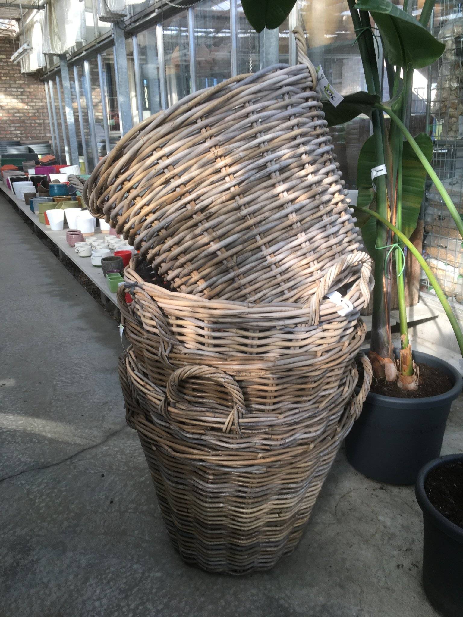 Extra grote manden  H 45      Dia 60