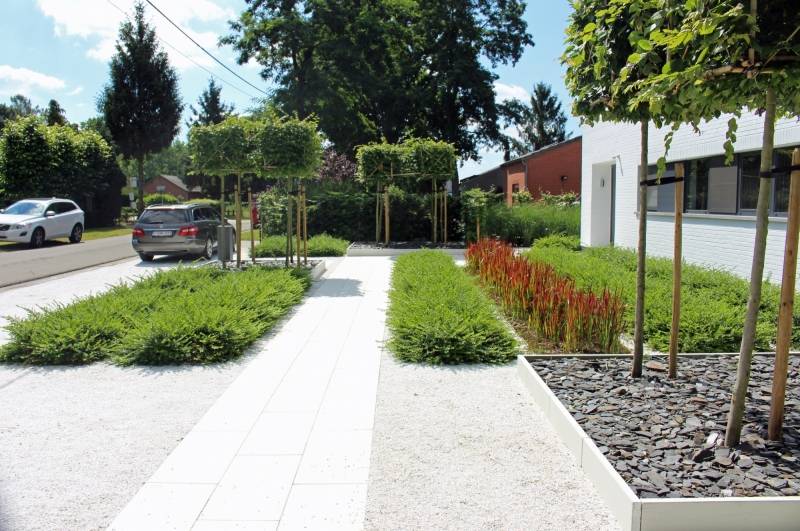 moderne tuin