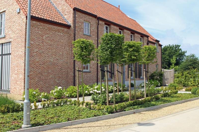 Landelijke tuin