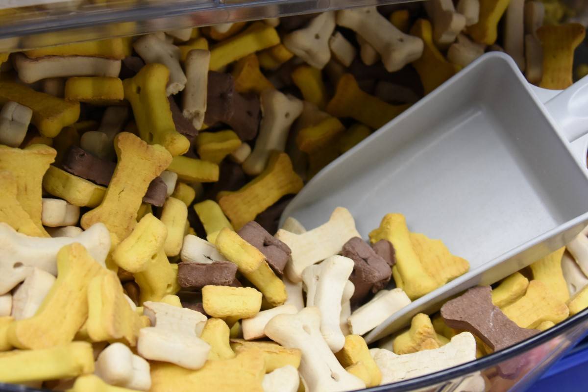 Hondenkoekjes
