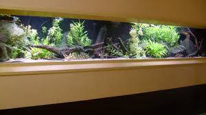 volledig ingewerkte aquarium