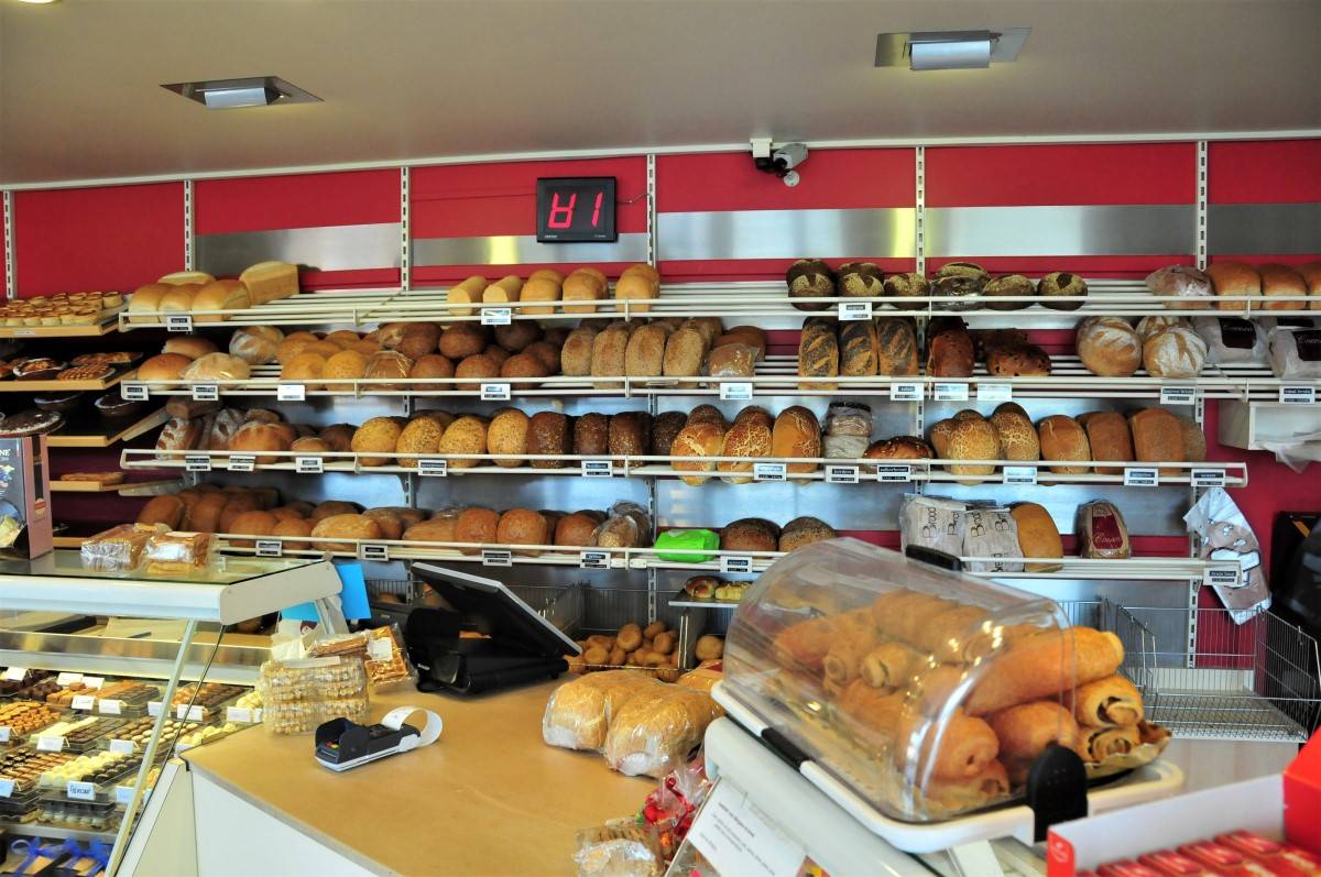 brood