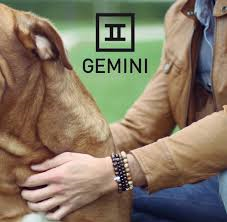Gemini armbanden