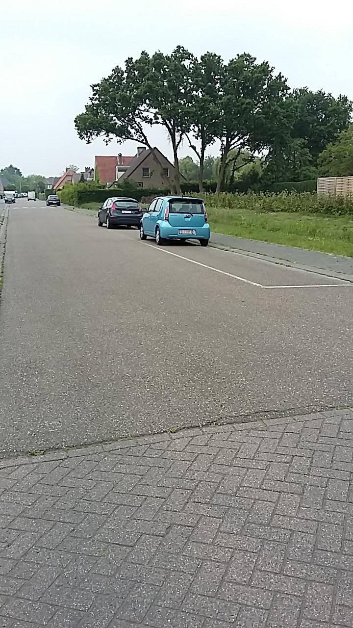Wanneer onze parking volzet is,  is er extra parkeergelegenheid in Laagland  ( straat 50m verder, weg van het centrum )