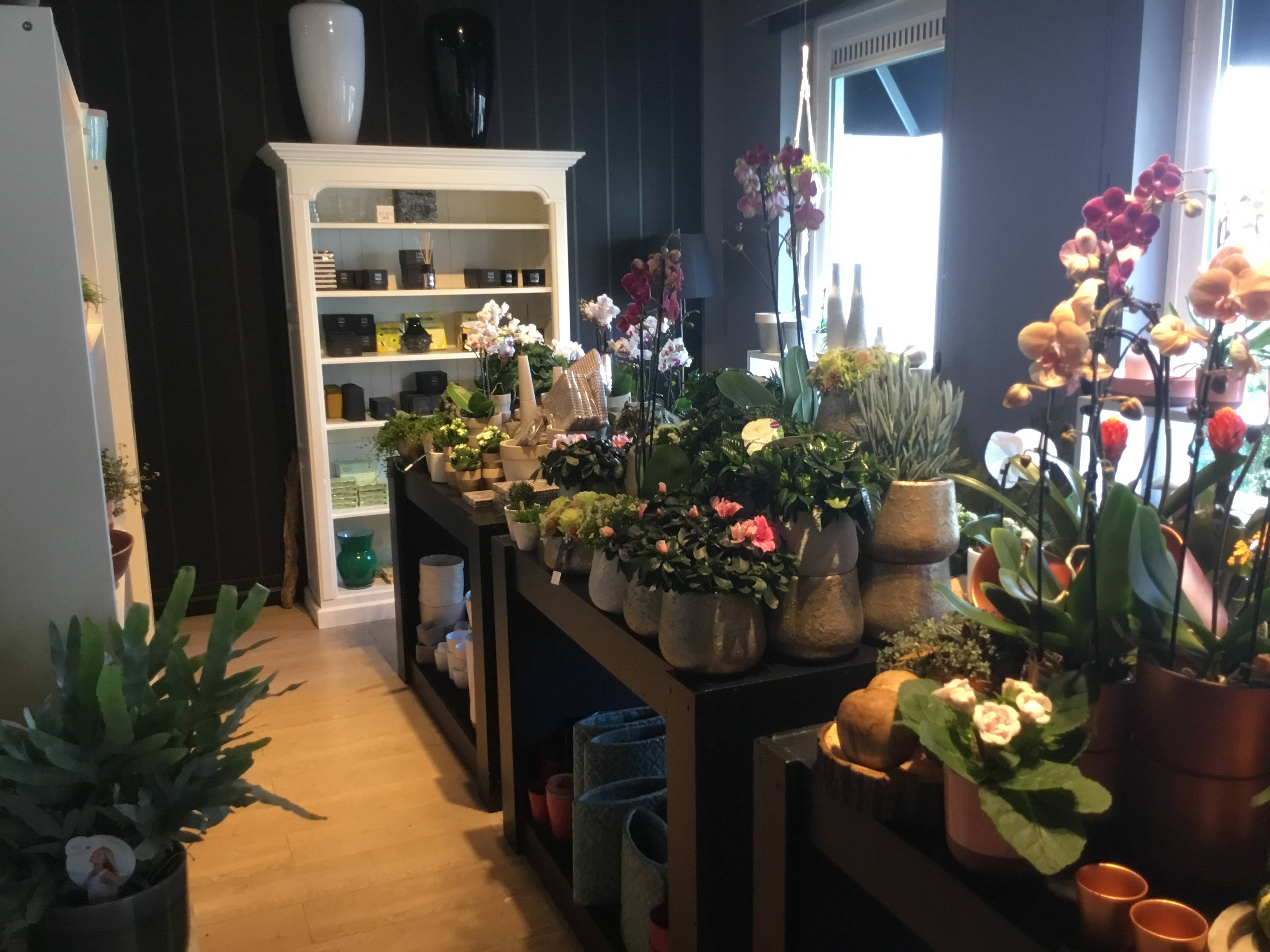 Bloemen