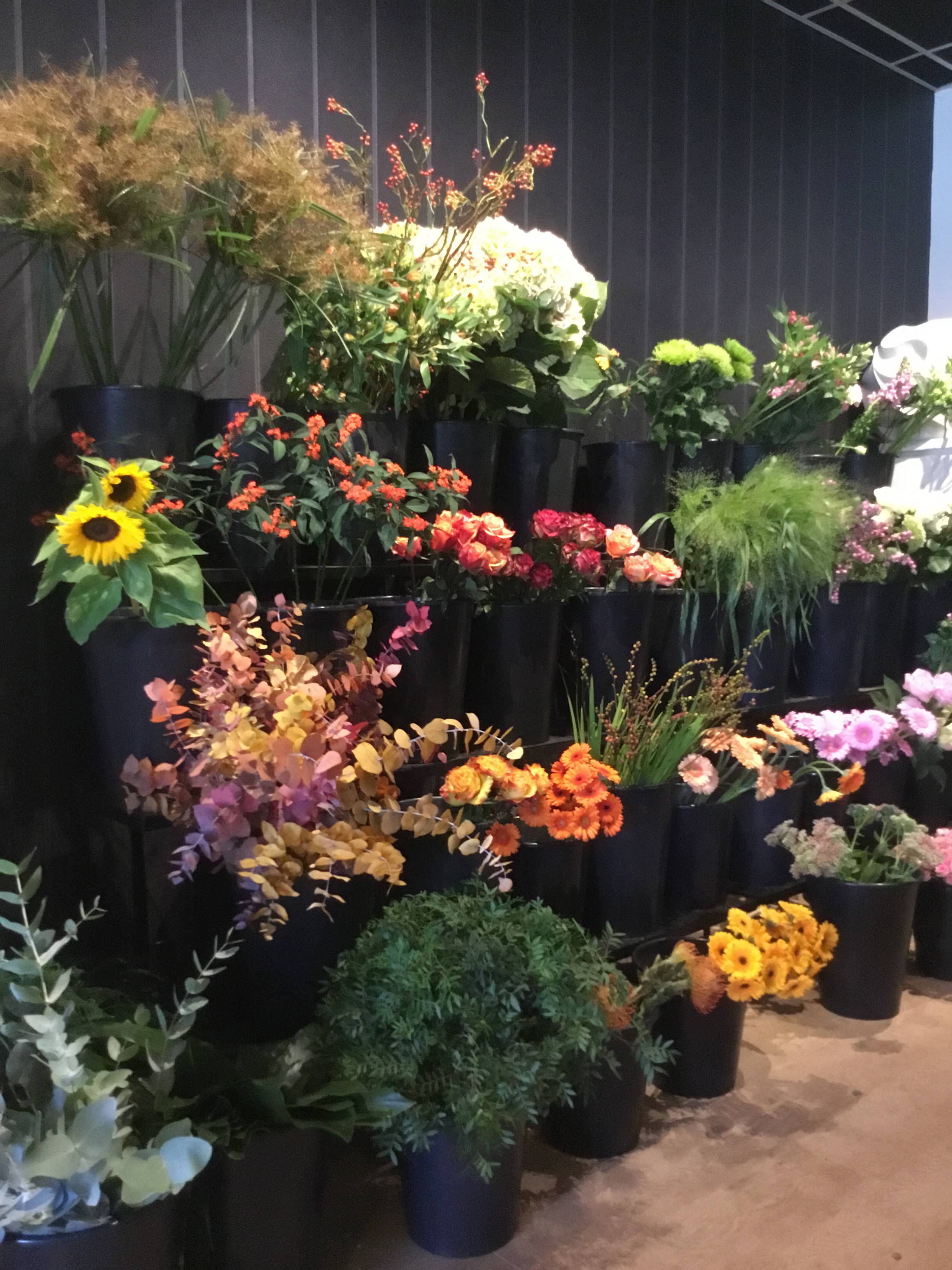 bloemen