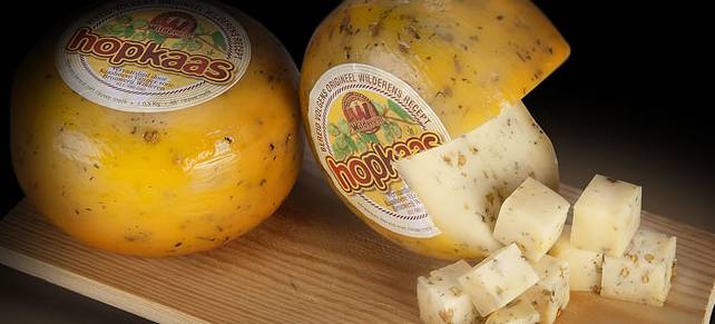 Wilderen Hopkaas