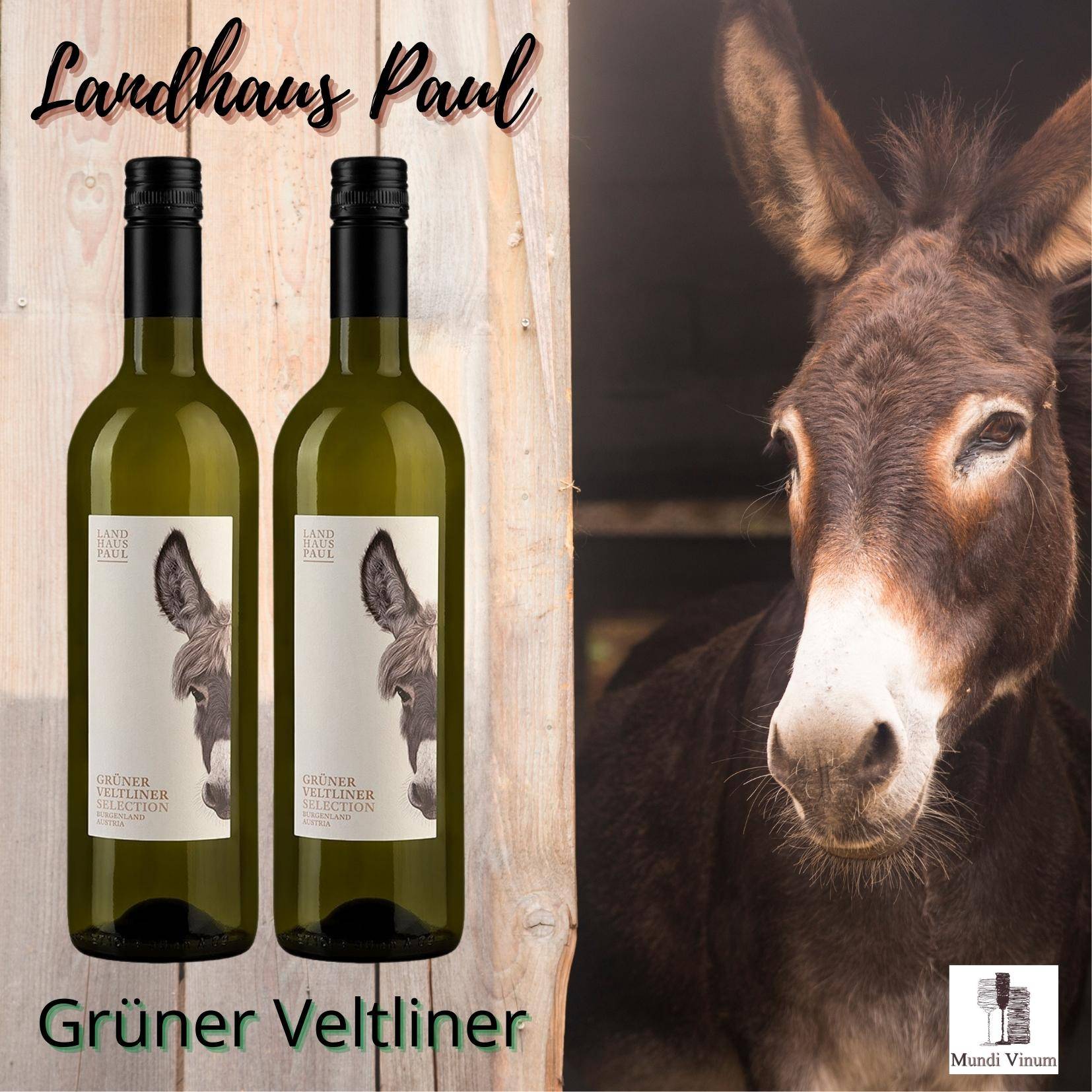 landhaus paul oostenrijkse witte wijn gruner veltliner