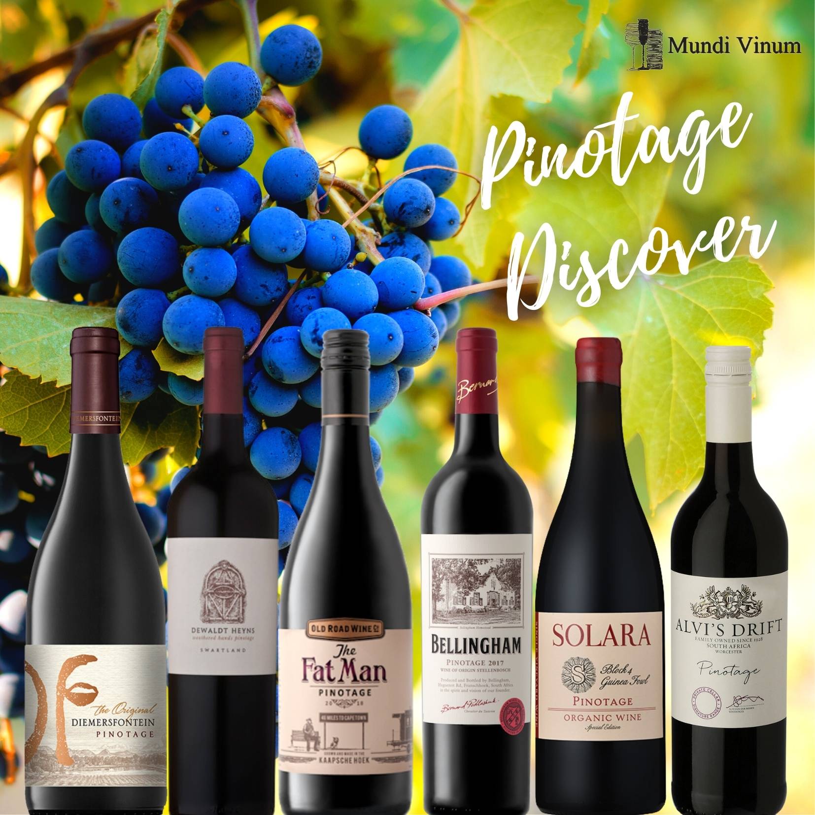 pinotage wijnen uit zuid-afrika kopen