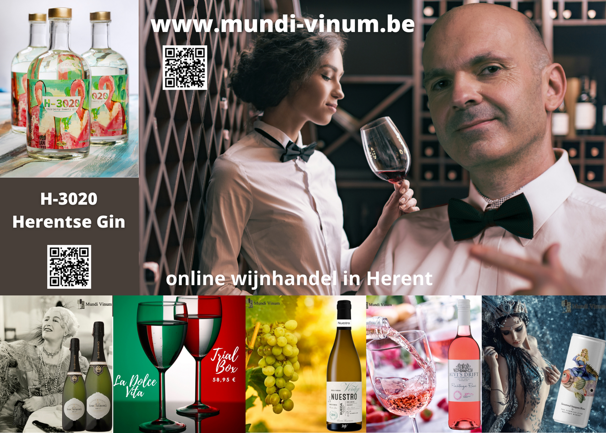 Online wijnhandel in Herent (bij Leuven) - dulst-blanden-magnus-wijnen-kavino-kaapsewijn-kaapwijn-leuven-de-wijnkraal