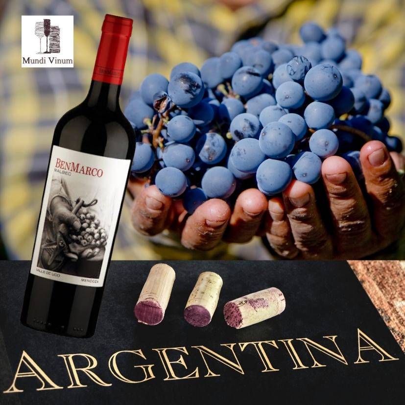 Argentijnse Malbec wijn Kopen online