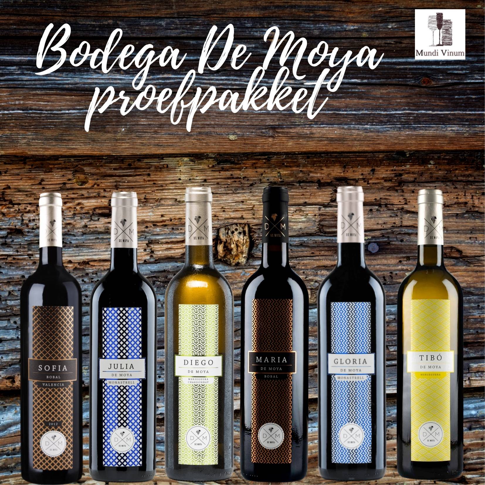 Bodega de moya maria, julia, sofia, justina, tibo, diego, julia, gloria