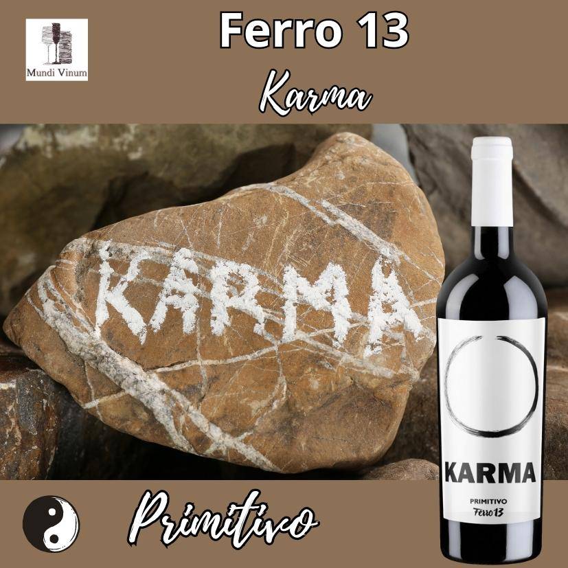 primitivo uit Itali&euml; italiaanse wijn uit Puglia ferro 13