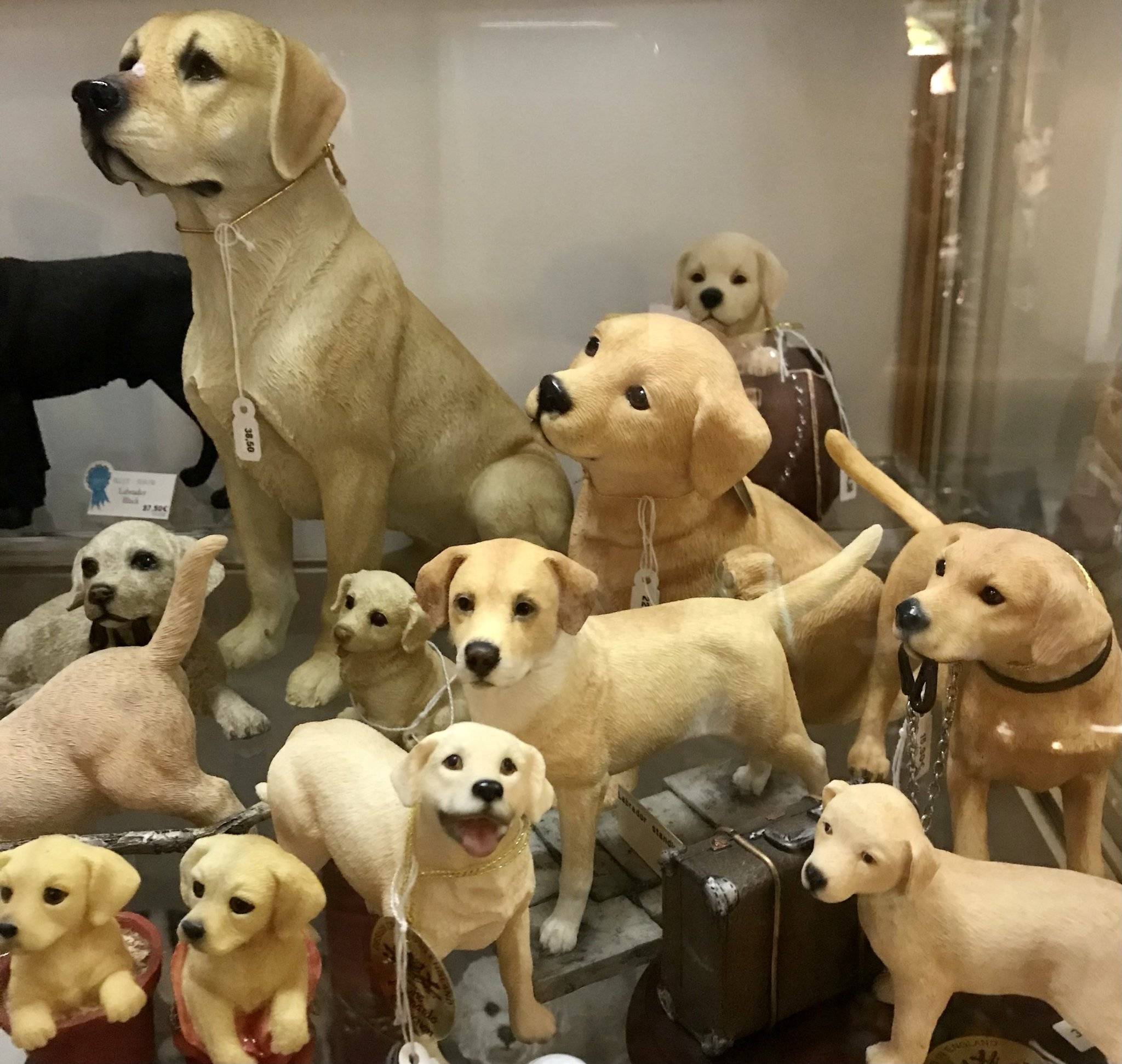 Honden by Leonardo