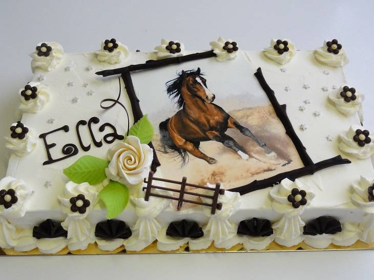 paard in gallop